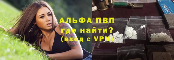 трава Бородино